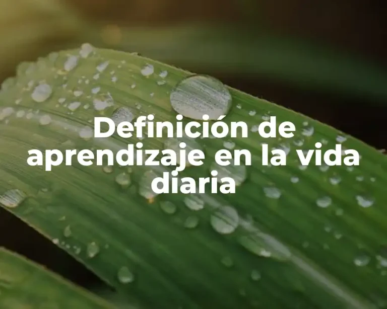 Definición de aprendizaje en la vida diaria