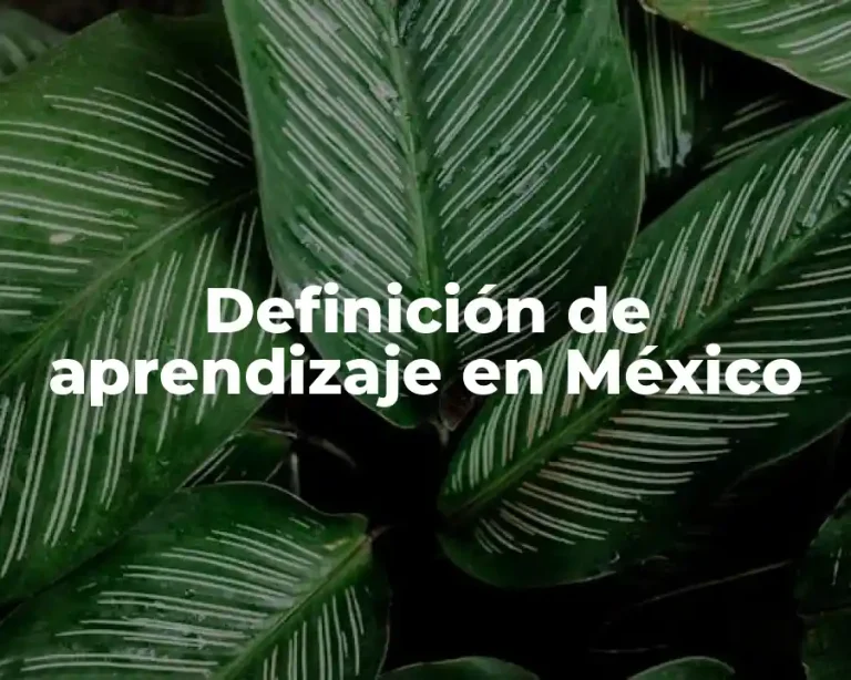 Definición de aprendizaje en México