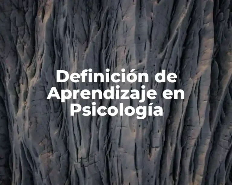 Definición de Aprendizaje en Psicología