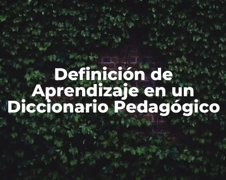 Definición de Aprendizaje en un Diccionario Pedagógico