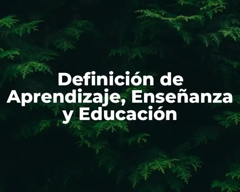 Definición de Aprendizaje, Enseñanza y Educación