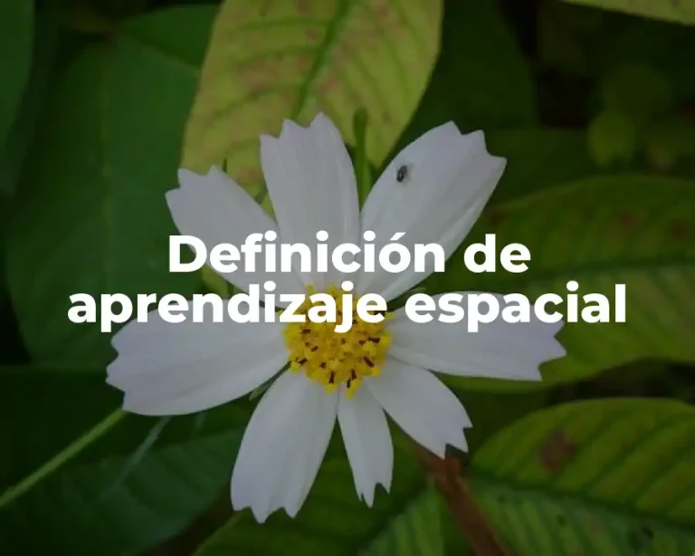 Definición de aprendizaje espacial