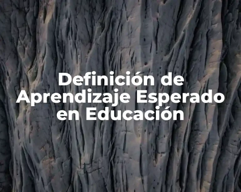 Definición de Aprendizaje Esperado en Educación