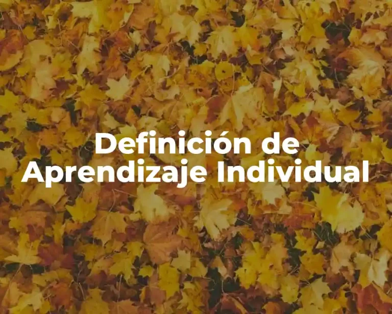 Definición de Aprendizaje Individual