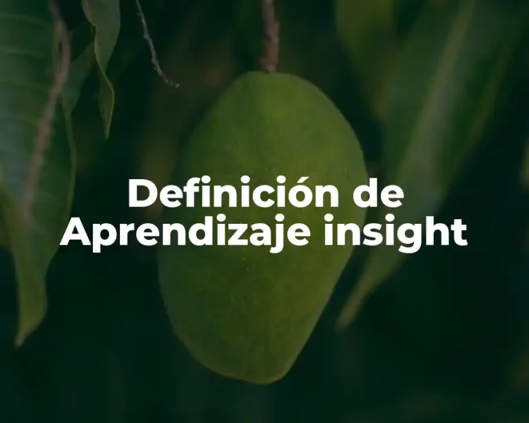 Definición de Aprendizaje insight
