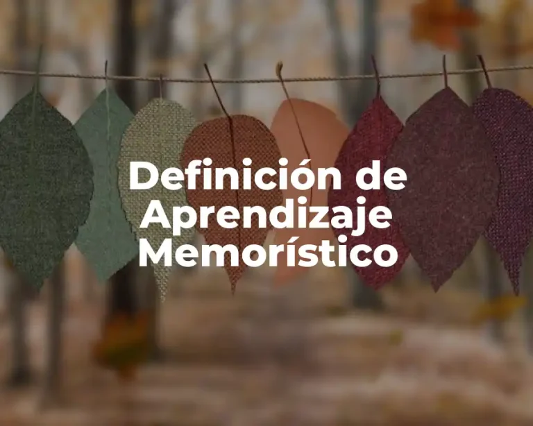 Definición de Aprendizaje Memorístico