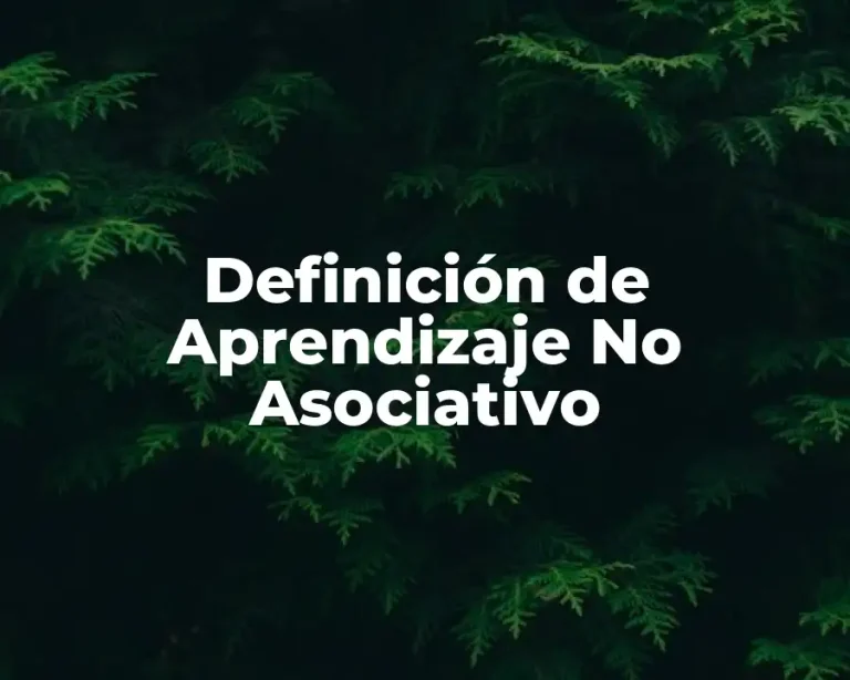 Definición de Aprendizaje No Asociativo