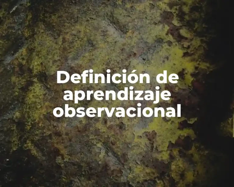 Definición de aprendizaje observacional