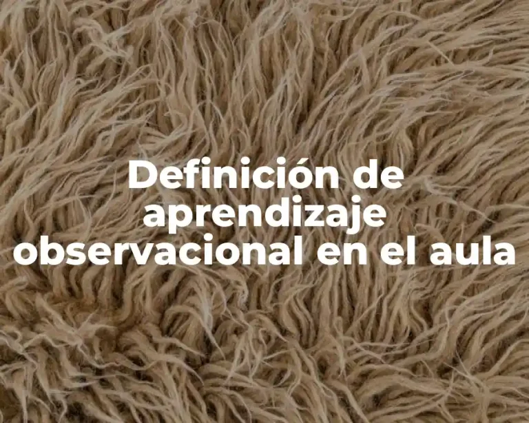 Definición de aprendizaje observacional en el aula