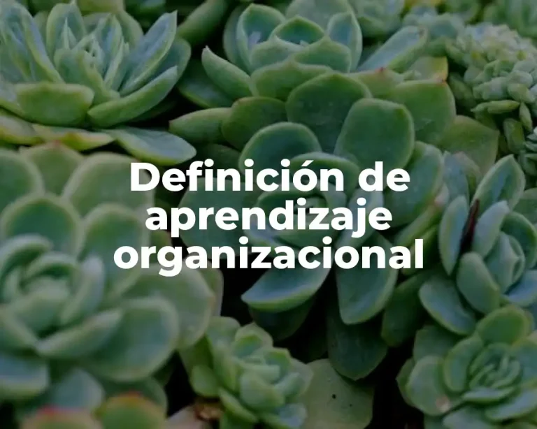 Definición de aprendizaje organizacional