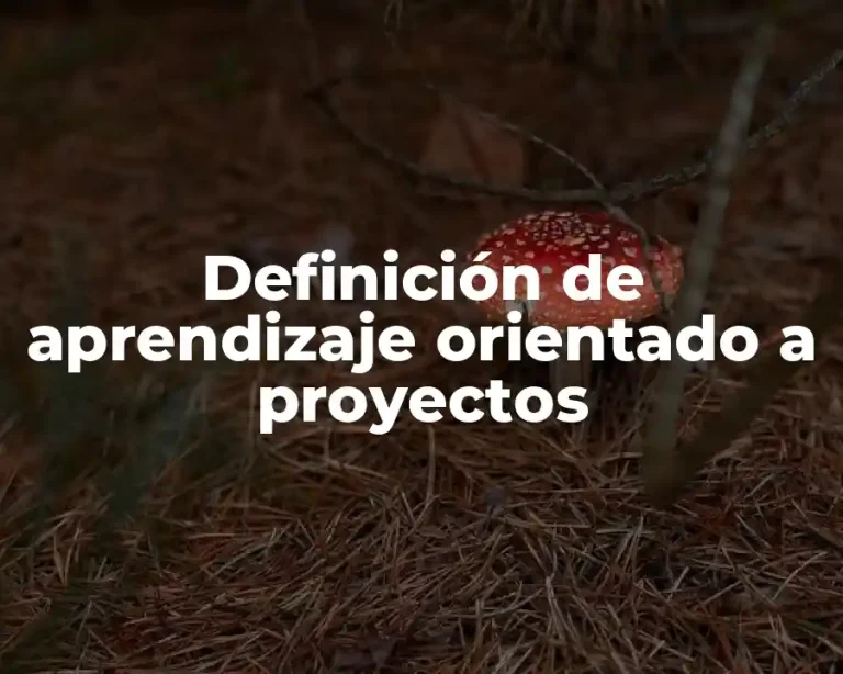 Definición de aprendizaje orientado a proyectos