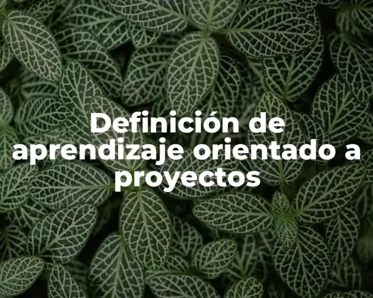 Definición de aprendizaje orientado a proyectos