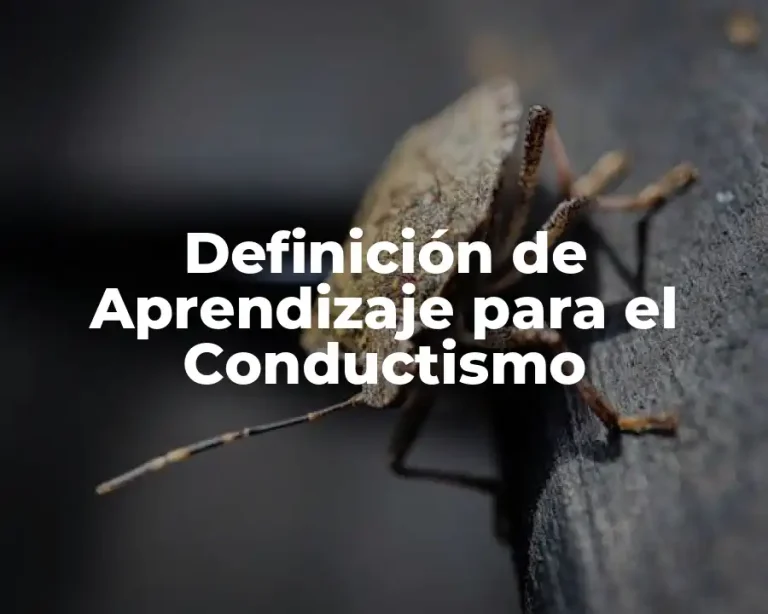 Definición de Aprendizaje para el Conductismo
