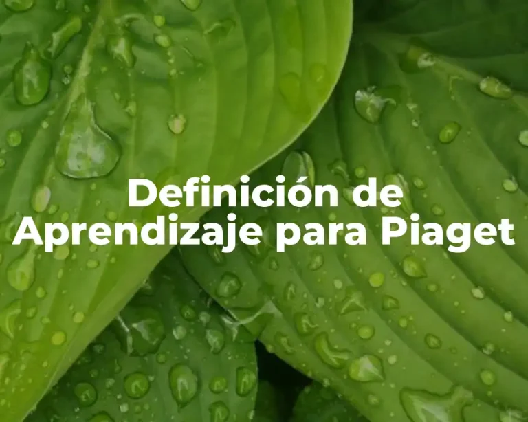 Definición de Aprendizaje para Piaget