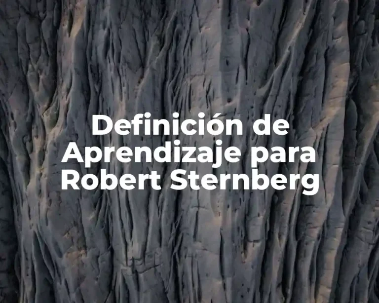 Definición de Aprendizaje para Robert Sternberg
