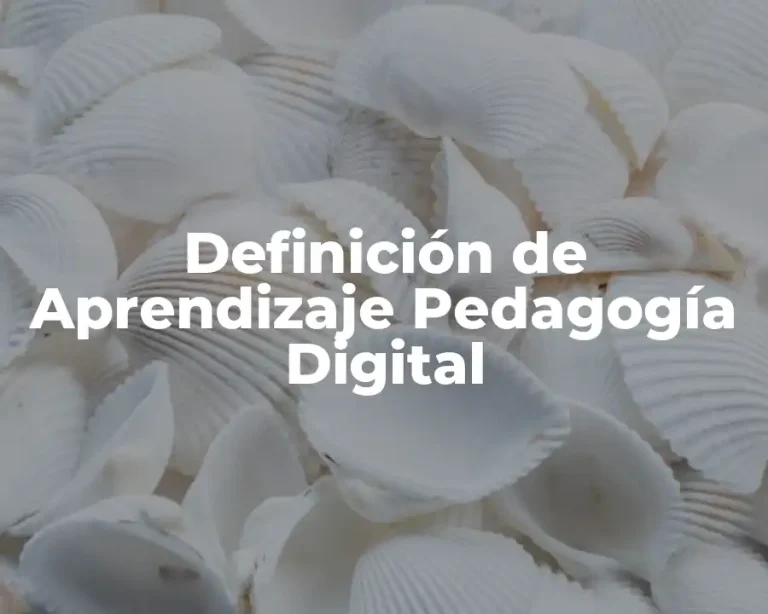 Definición de Aprendizaje Pedagogía Digital