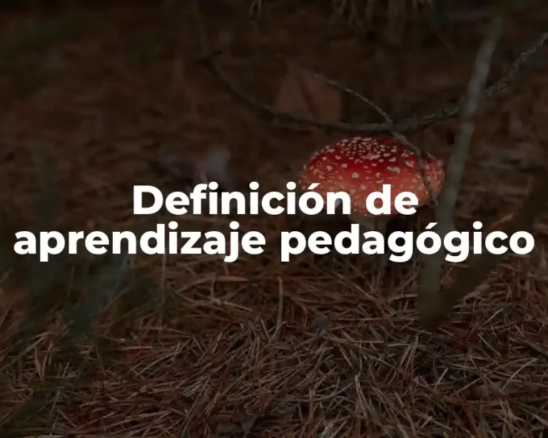 Definición de aprendizaje pedagógico