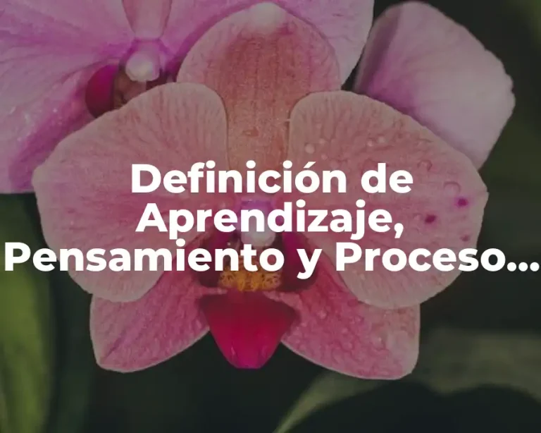Definición de Aprendizaje, Pensamiento y Proceso Cognitivos