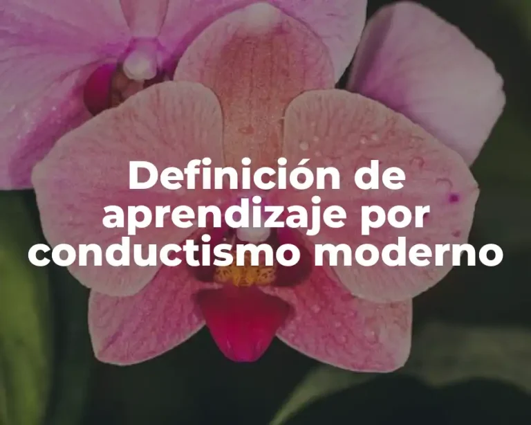 Definición de aprendizaje por conductismo moderno