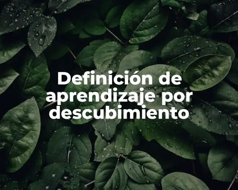 Definición de aprendizaje por descubimiento