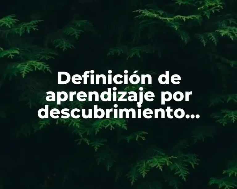 Definición de aprendizaje por descubrimiento experimentos