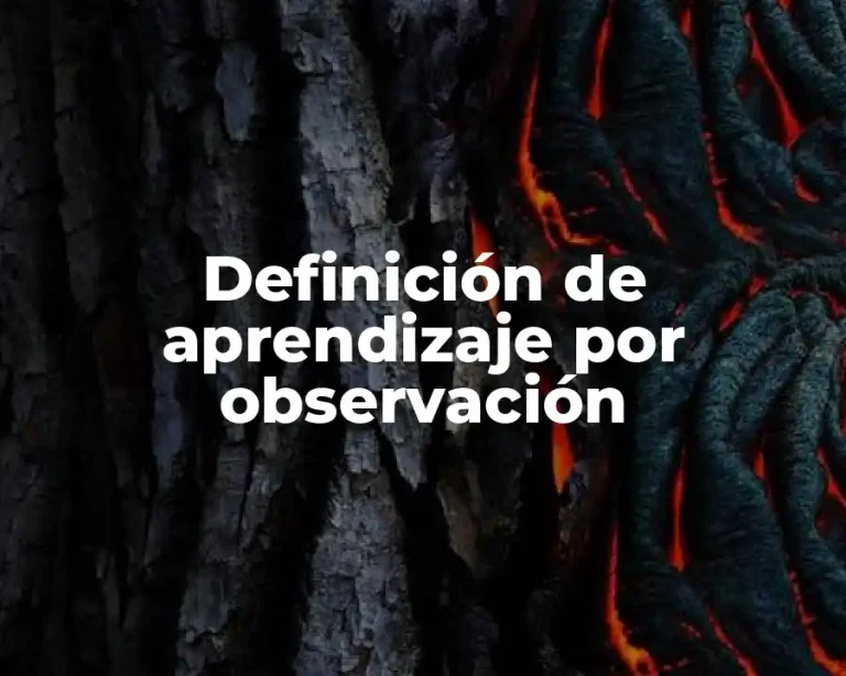 Definición de aprendizaje por observación