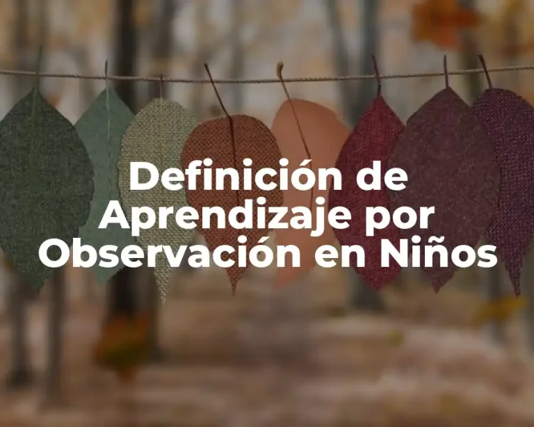 Definición de Aprendizaje por Observación en Niños