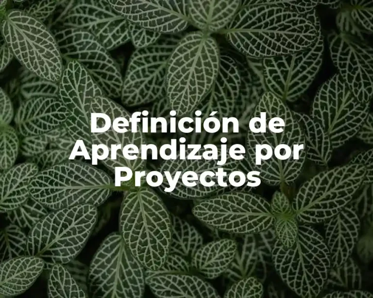 Definición de Aprendizaje por Proyectos