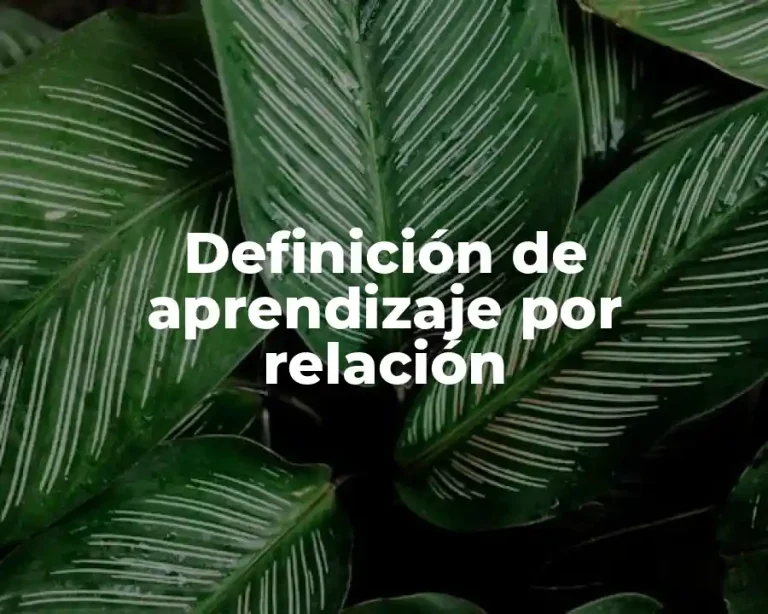 Definición de aprendizaje por relación