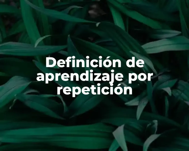 Definición de aprendizaje por repetición