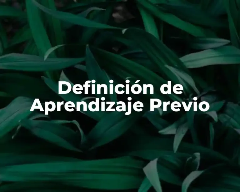 Definición de Aprendizaje Previo