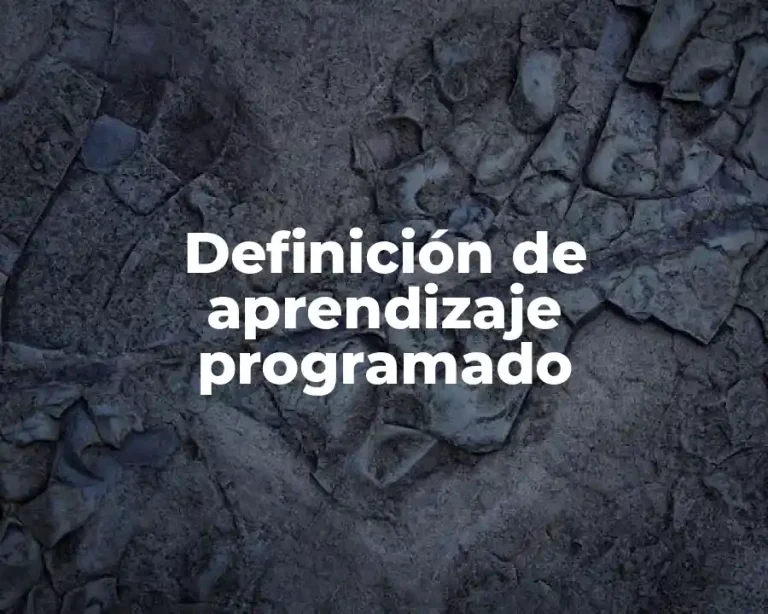 Definición de aprendizaje programado
