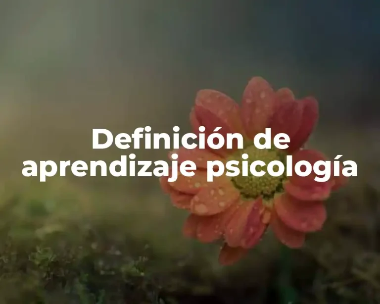 Definición de aprendizaje psicología