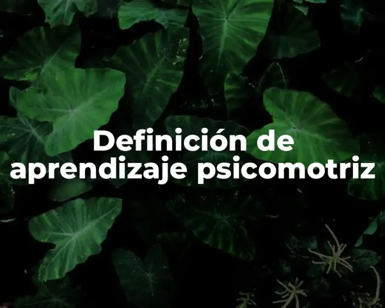 Definición de aprendizaje psicomotriz