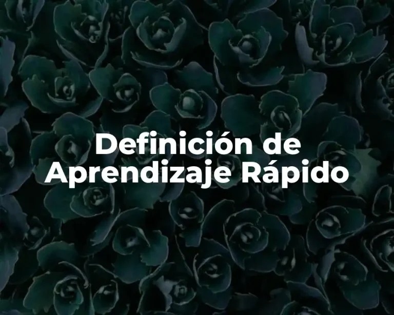 Definición de Aprendizaje Rápido
