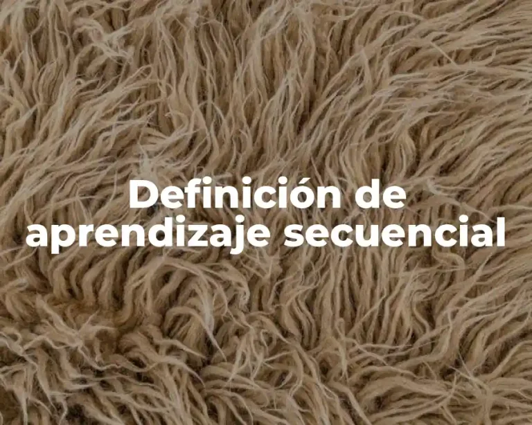 Definición de aprendizaje secuencial