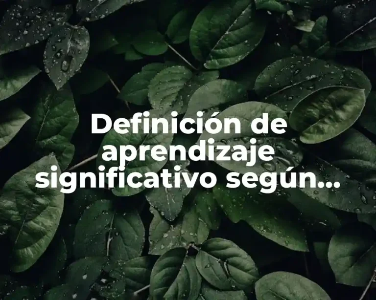 Definición de aprendizaje significativo según Ausubel