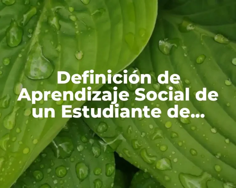 Definición de Aprendizaje Social de un Estudiante de Secundaria