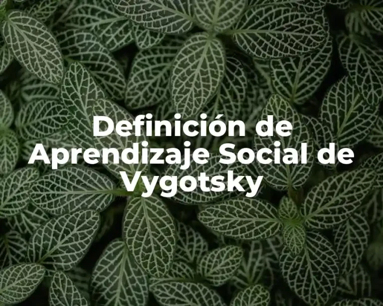 Definición de Aprendizaje Social de Vygotsky
