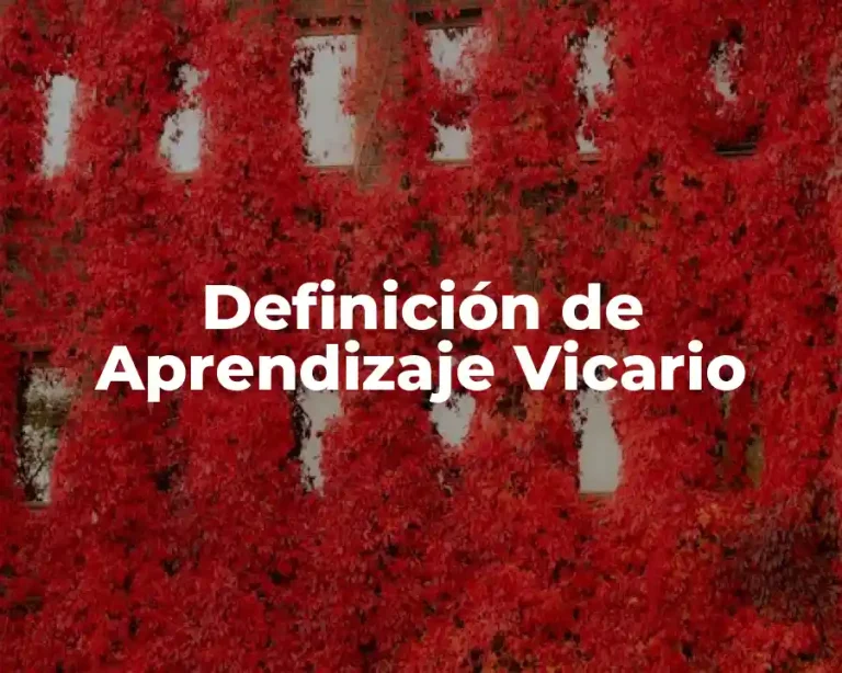 Definición de Aprendizaje Vicario