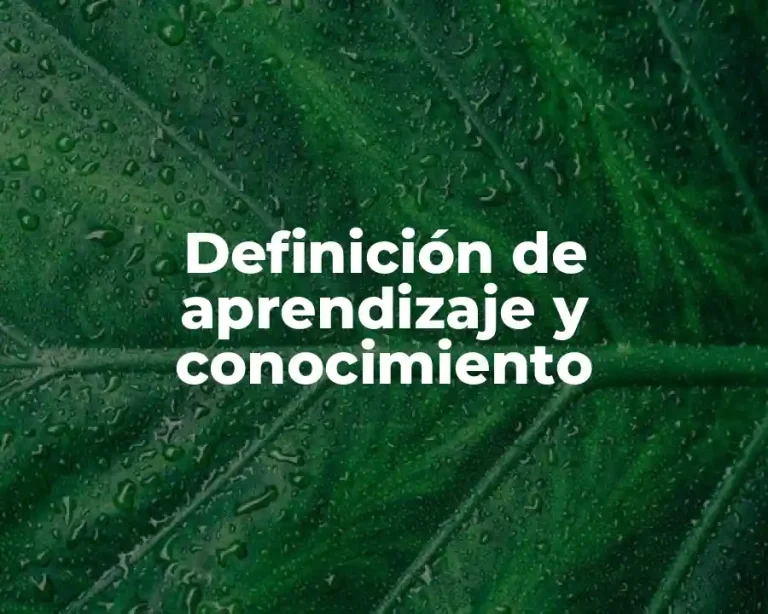Definición de aprendizaje y conocimiento
