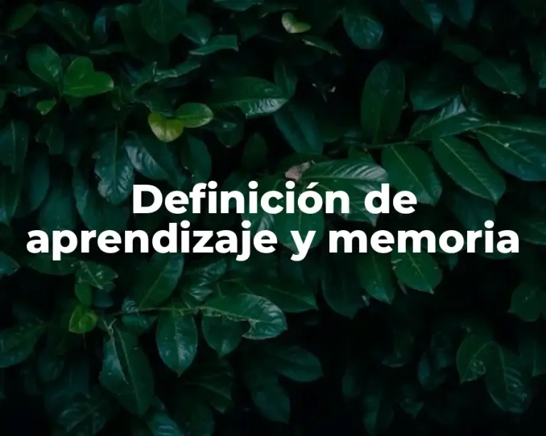 Definición de aprendizaje y memoria