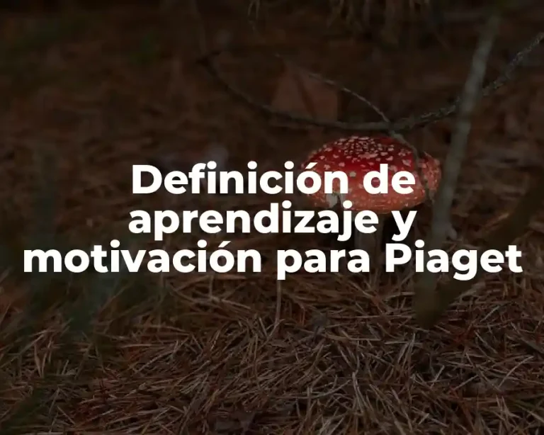 Definición de aprendizaje y motivación para Piaget
