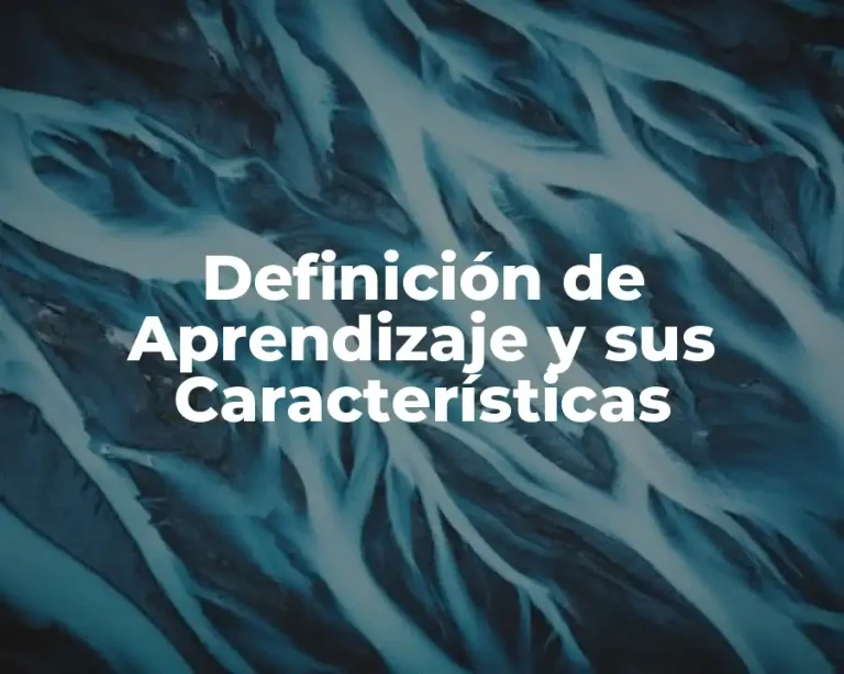 Definición de Aprendizaje y sus Características
