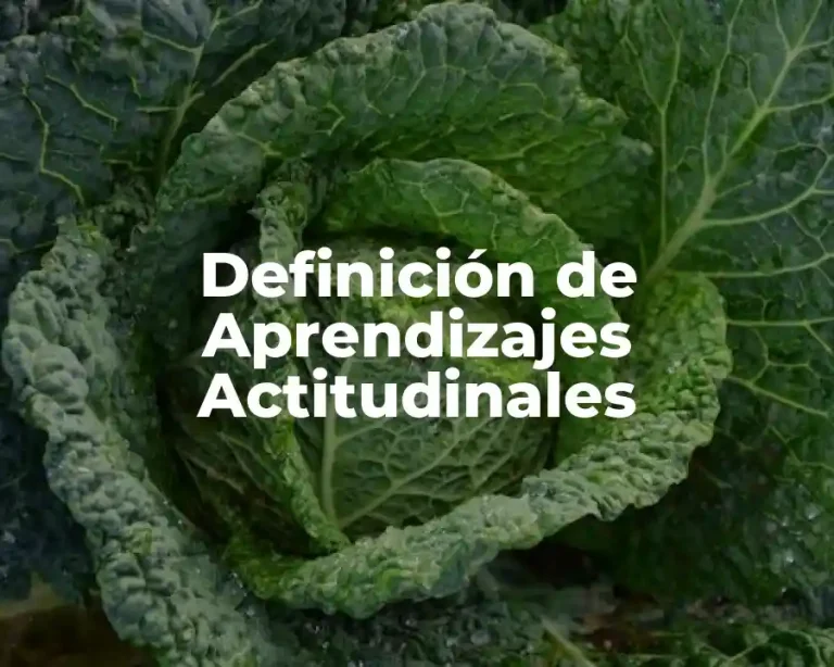 Definición de Aprendizajes Actitudinales