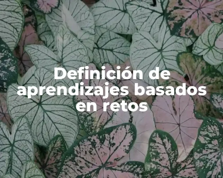 Definición de aprendizajes basados en retos