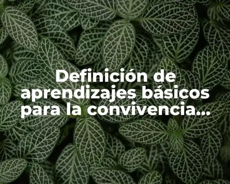Definición de aprendizajes básicos para la convivencia social