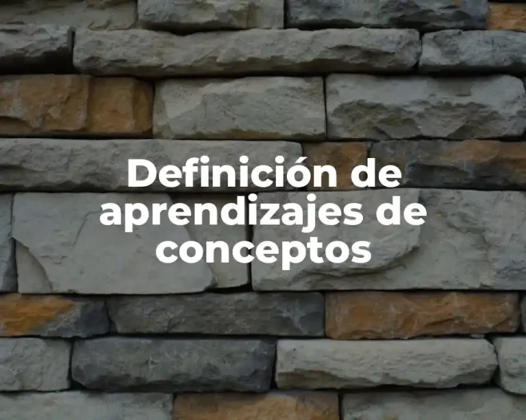 Definición de aprendizajes de conceptos