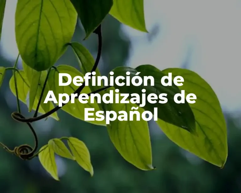 Definición de Aprendizajes de Español
