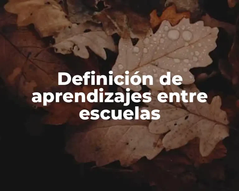 Definición de aprendizajes entre escuelas